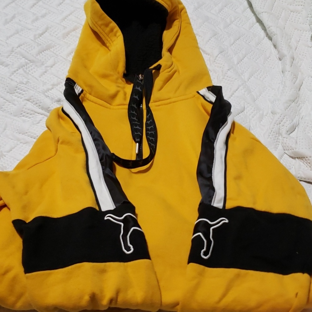 VS Pink sherpa lined satin hoodie